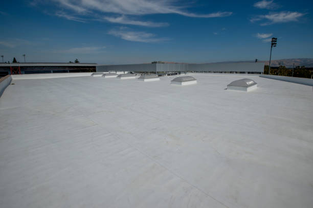 Best Rubber Roofing (EPDM, TPO)  in Mount Pulaski, IL
