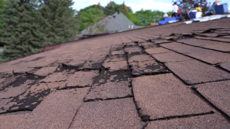 Best Rubber Roofing (EPDM, TPO)  in Mount Pulaski, IL