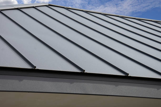 Best Roof Ventilation Installation  in Mount Pulaski, IL